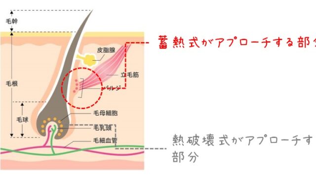 蓄熱式と熱破壊方式　違い